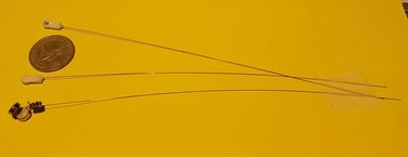 ‘Nanotags’ para la conservación