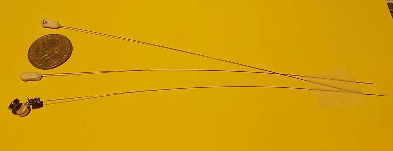 ‘Nanotags’ para la conservación