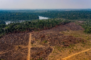 La Amazonia afronta peligros más allá de los incendios