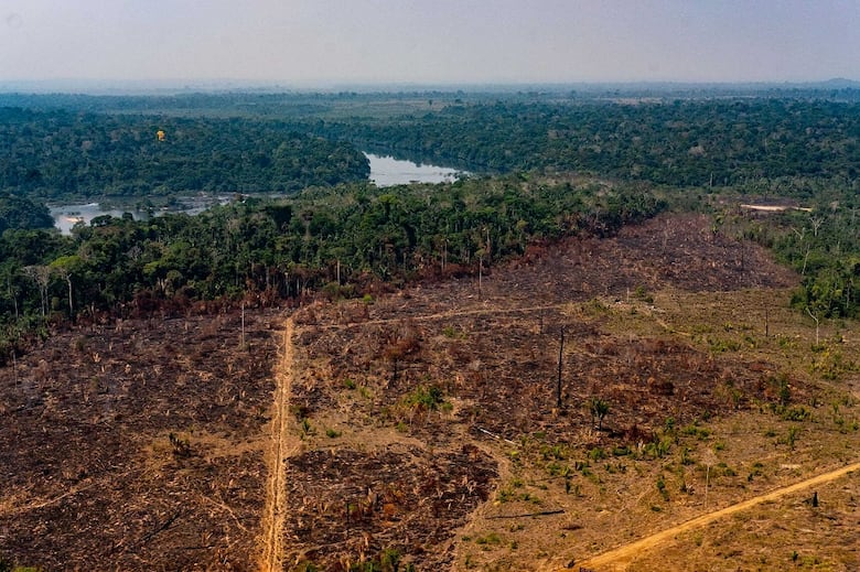 La Amazonia afronta peligros más allá de los incendios
