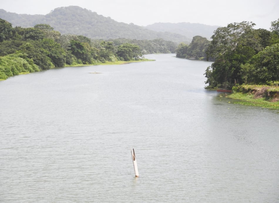 Miambiente detecta tala ilegal en áreas colindantes con lago Gatún