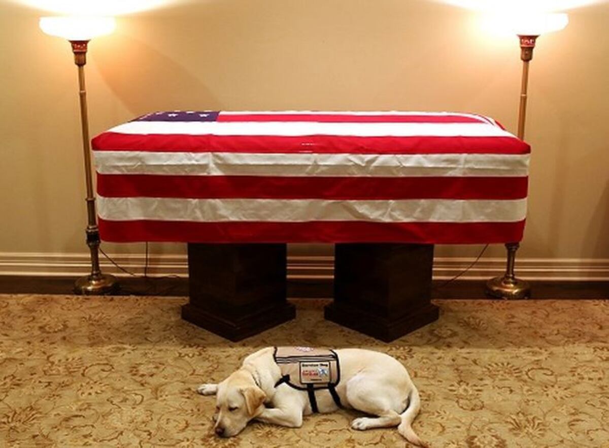 Foto publicada por Jim McGrath, portavoz del fallecido expresidente, en la que se observa a Sully tumbado junt