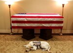 El fiel perro de Bush lo acompaña en su último viaje a Washington