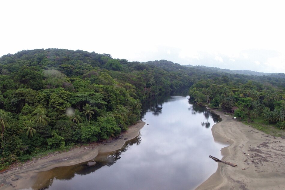 Donoso: comienza consulta pública sobre el plan de manejo para esta valiosa área protegida