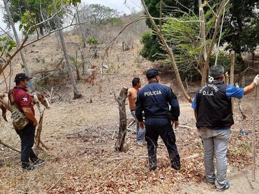 Ganaderos piden a Gobierno reforzar vigilancia en 40 áreas del país