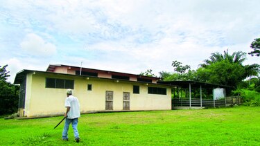 Lluvias permiten reabrir el matadero de Metetí
