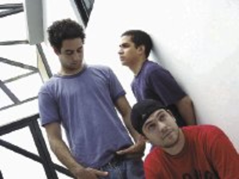 Polyphase en televisión