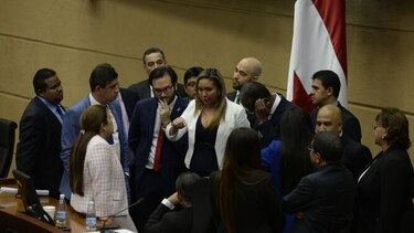 Estos son los aportes de los diputados a las reformas; piden reconocer el derecho 'nacional' sobre las normas internacionales
