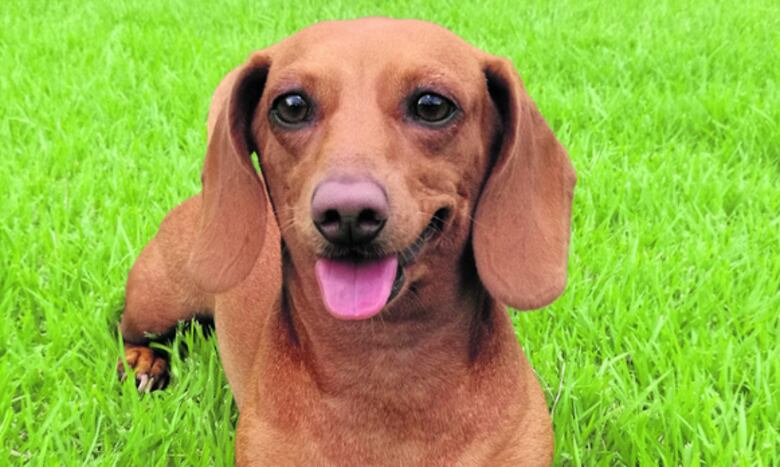 ¡Feliz cumpleaños, Maya!