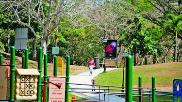 Fracasa licitación para renovar el parque Omar por medio millón de dólares: empresas no cumplen con requisitos