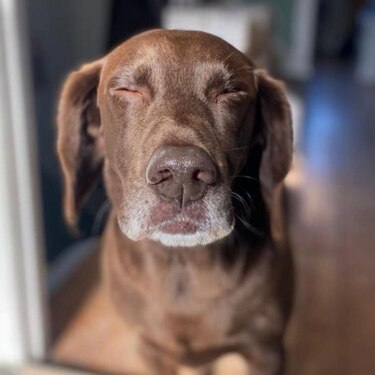 Colágeno: ¿se debe tomar, inyectar o aplicar en la piel? Y ¿realmente funciona?