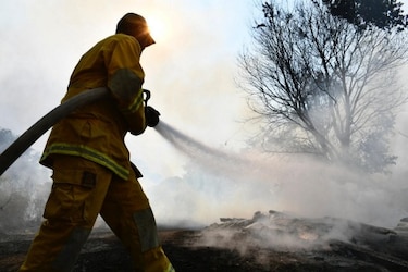 Los incendios forestales extremos se han duplicado en los últimos 20 años