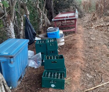 Desmantelan gallera clandestina en medio de un maizal en El Bijao de Los Santos