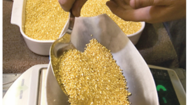 Repunte del oro trae explosión de minería ilegal