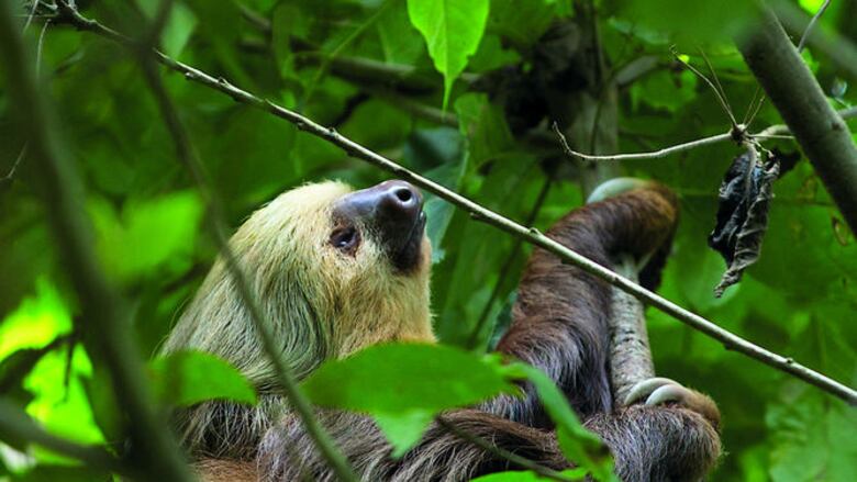 Un paraíso en el Caribe