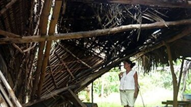 Reportan escasez de madera y pencas de palma real en Azuero