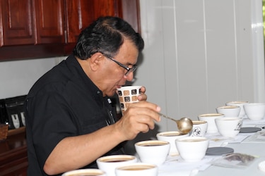 Seleccionan 49 muestras de café de Panamá para cata internacional