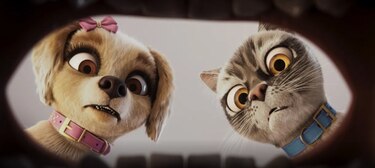 ‘Mascotas en apuros’, una nueva aventura animada