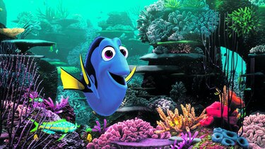 Dory será criada en cautiverio