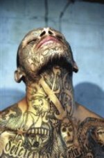 Pandillas fragmentadas y letales