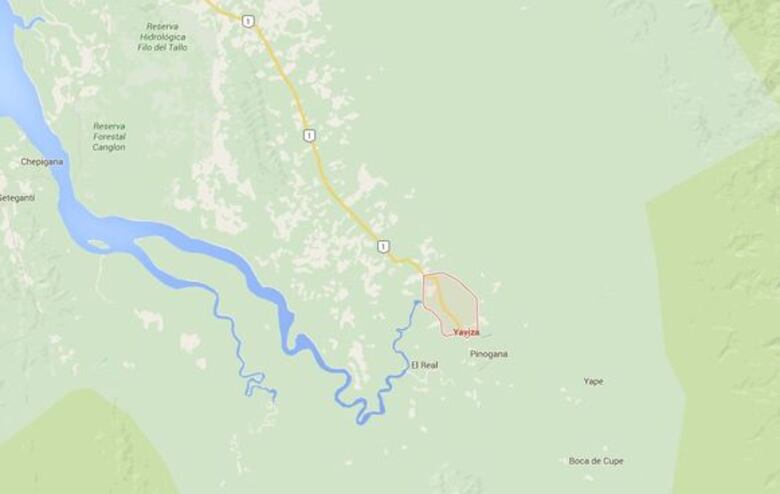 Decomisan 7 mil cápsulas con cocaína envueltas en cáscaras de frijoles