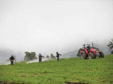 Comerciantes y empresarios piden balance para que subsistan productores