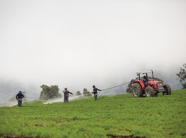 Comerciantes y empresarios piden balance para que subsistan productores