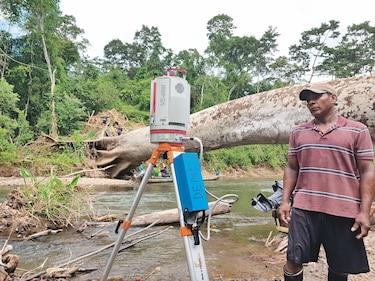 Los ‘gigantes verdes’ del Darién