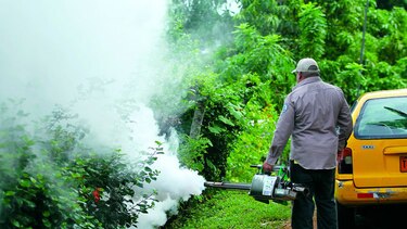 Realizan jornada para erradicar criaderos del mosquito 'Aedes Aegypti'