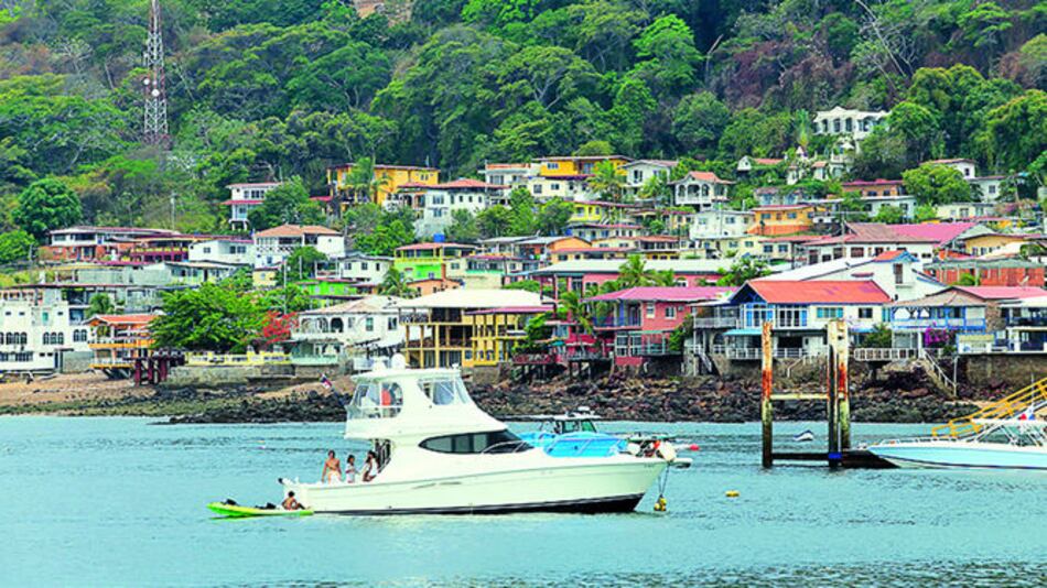 Una planta para Taboga