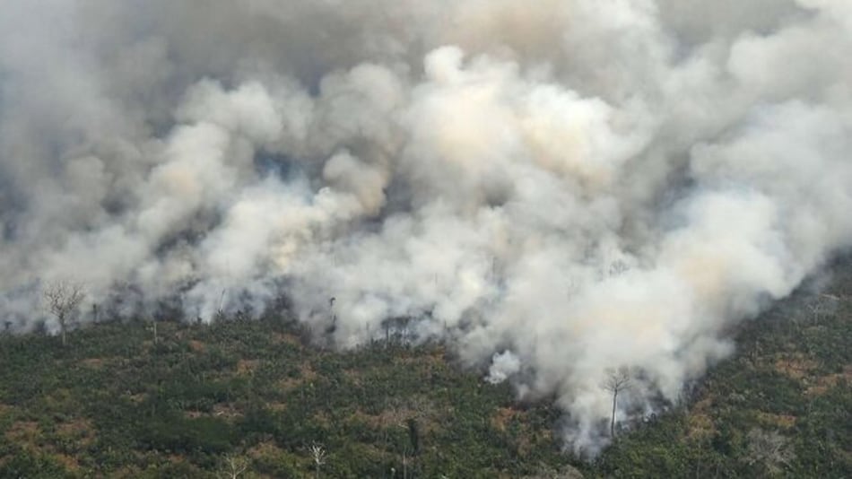 G7 acuerda ayudar a países afectados por incendios en la Amazonía