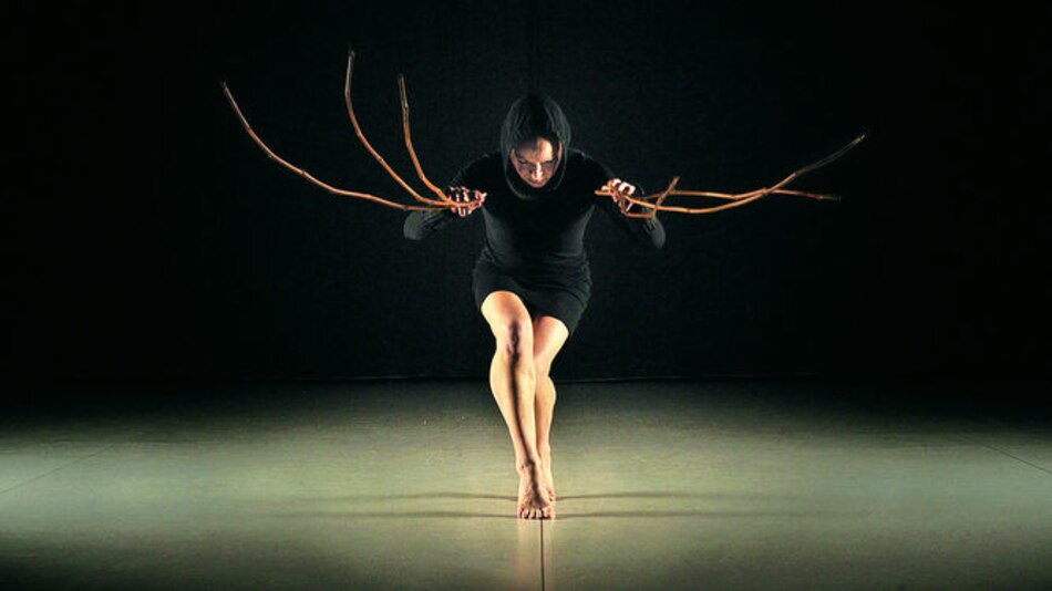 Viene lo mejor de la escena