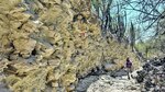 Arrecifes y cambios en las comunidades de tiburones