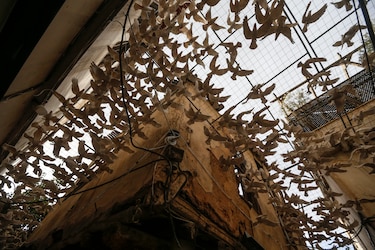 Palomas de cerámica en Damasco para no olvidar la guerra