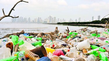 Jornada a favor de los océanos