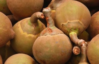 Frutas de antaño