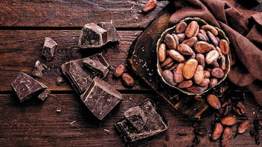 El alimento de los dioses