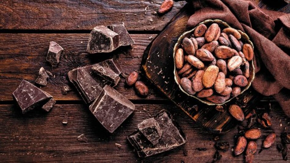 El alimento de los dioses