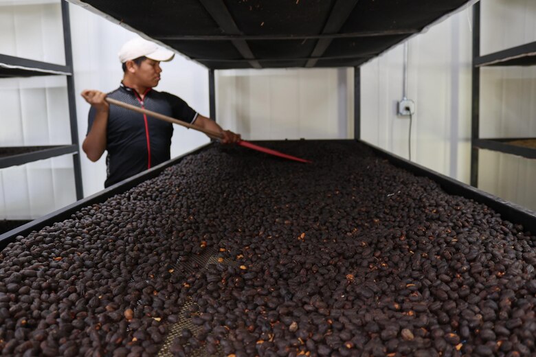 $13,518 el kilo de café geisha panameño, el nuevo récord logrado en Corea del Sur