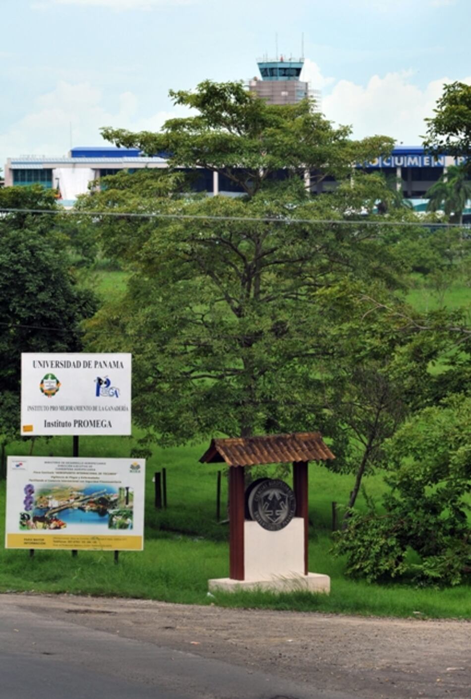 Por $109.8 millones la Universidad de Panamá vende terreno