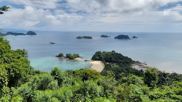 Cordillera de Coiba: estas son las actividades de pesca prohibidas según MiAmbiente