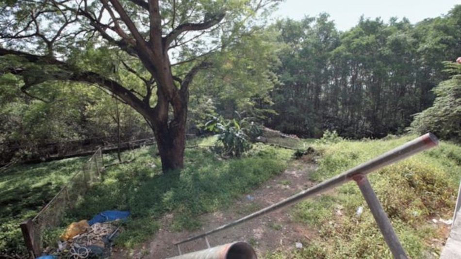 La Anati emite criterio sobre finca en Coco del Mar