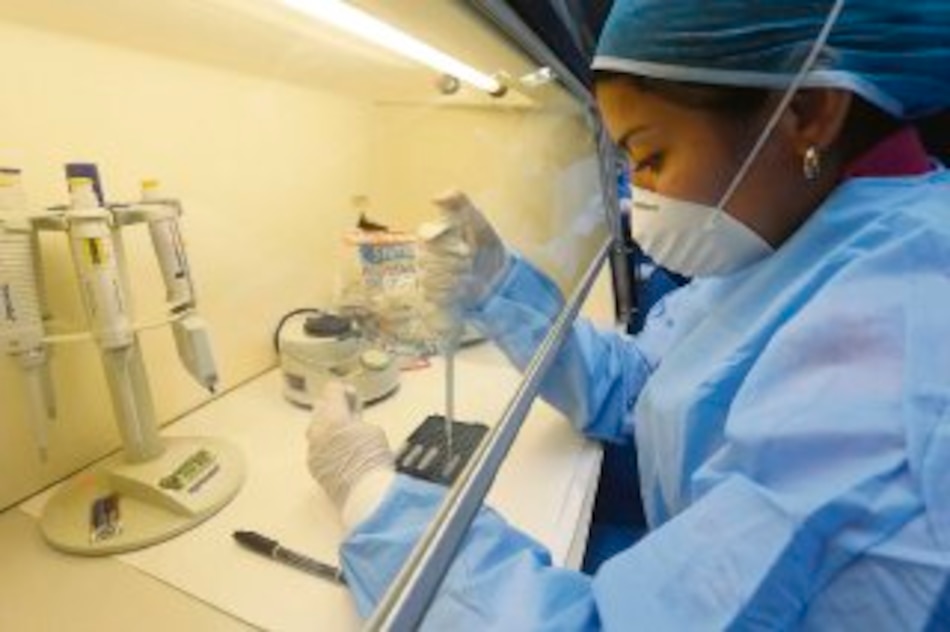 Indagatoria en crimen de estadounidense