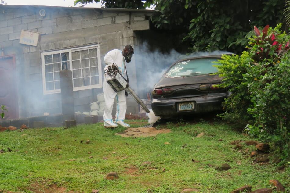 Minsa reporta 5 mil 222 casos de dengue en todo el territorio nacional