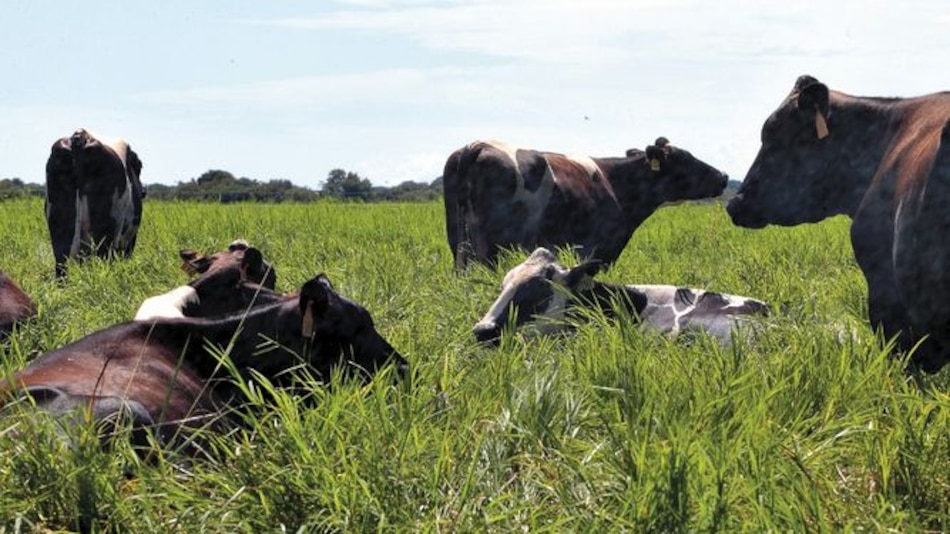En 2024, el 100% del FECI regresará al sector agro