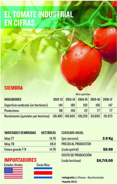 Cultivos de temporada, sin apoyo financiero