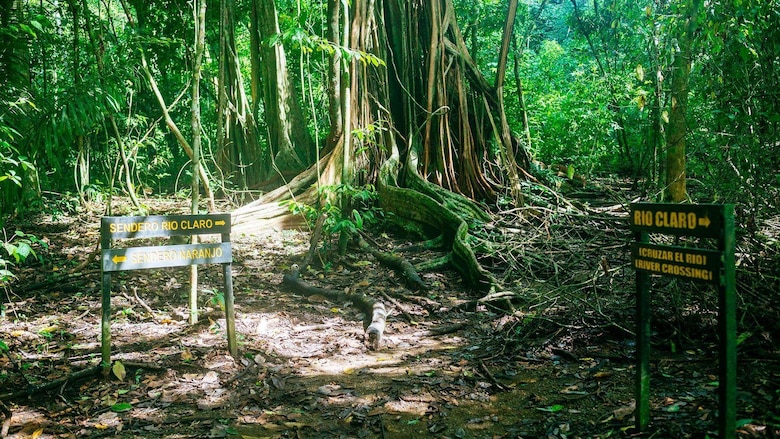 Parque Nacional Corcovado: el riesgo por el turismo que enfrenta en Costa Rica una de las reservas naturales más importantes del mundo