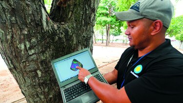 Análisis del verde urbano