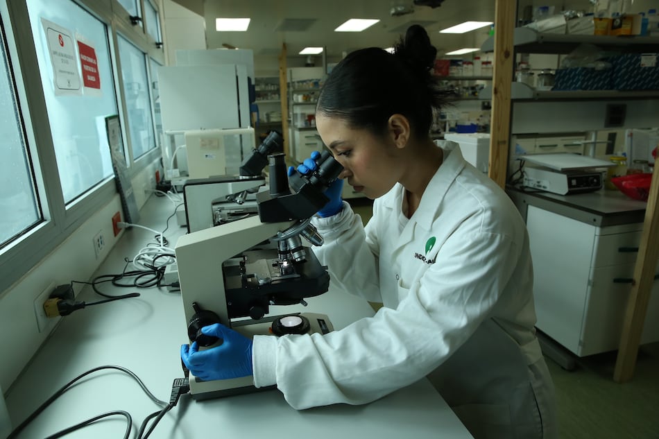 La inversión de 1% del PIB en ciencia no se cumplió