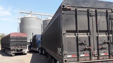 Importadores se comprometen a la compra de grano nacional